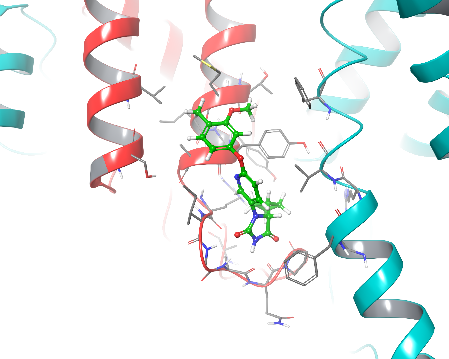 Small molecule docked in protein binding site