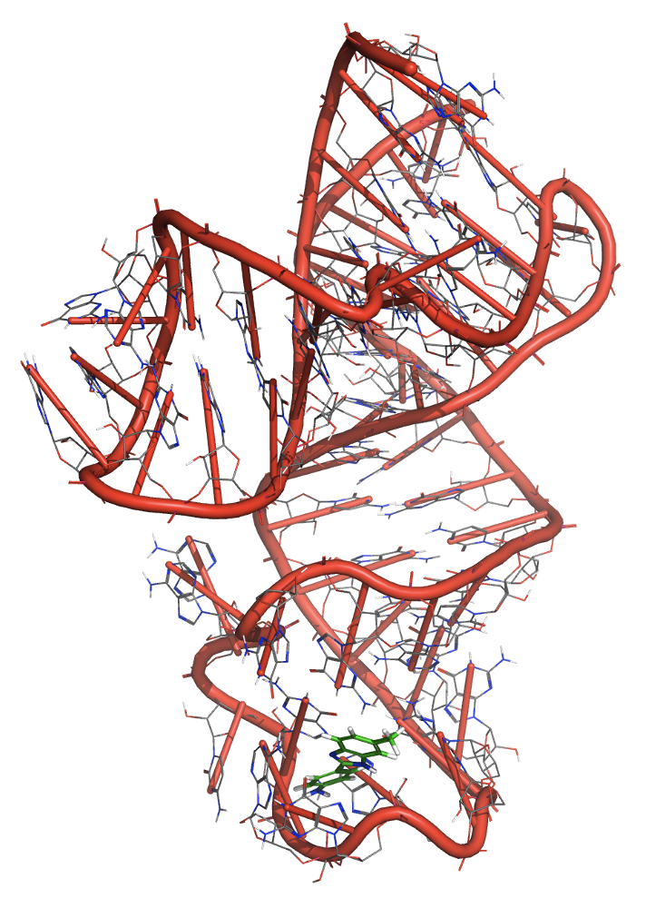RNA tertiary structure with small molecule ligand